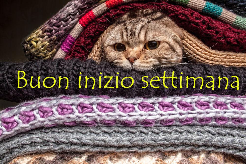 buon-inizio-settimana-invernale-1.jpg