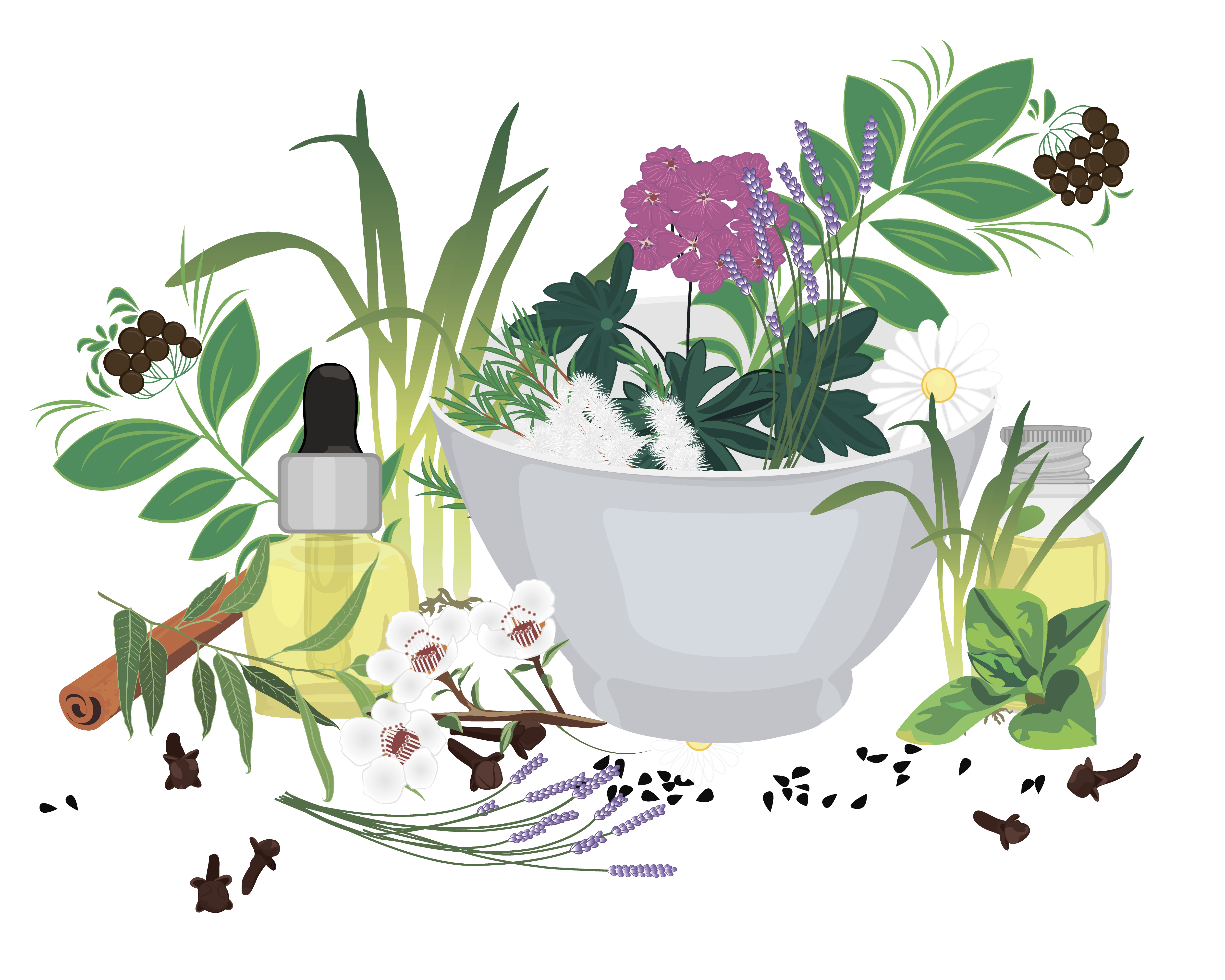 Le favolose proprietà dell’olio essenziale di Ravintsara