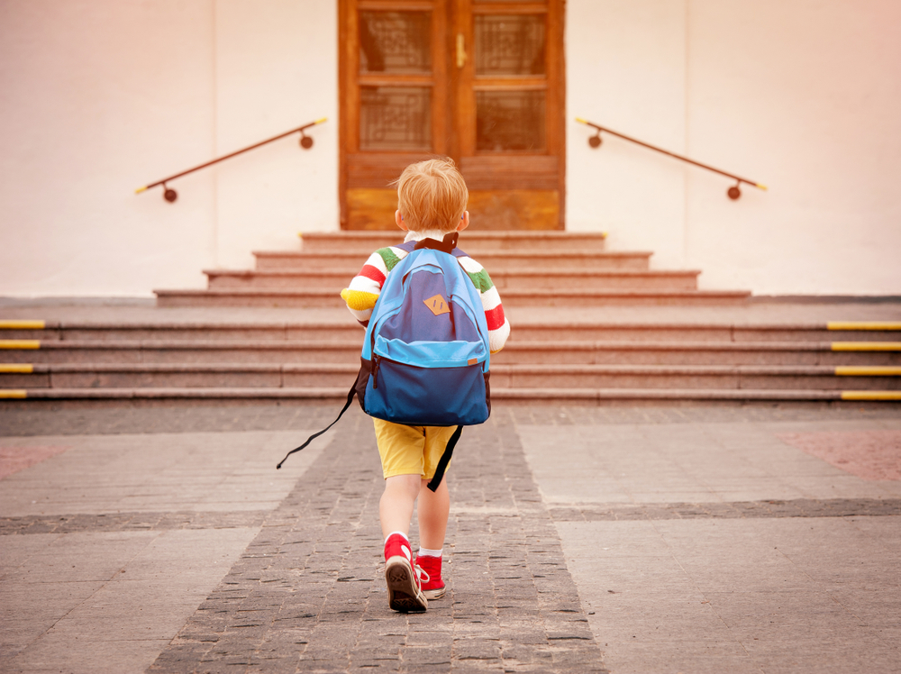 Iscrizione scuola 2019-2020, come si esegue la procedura online