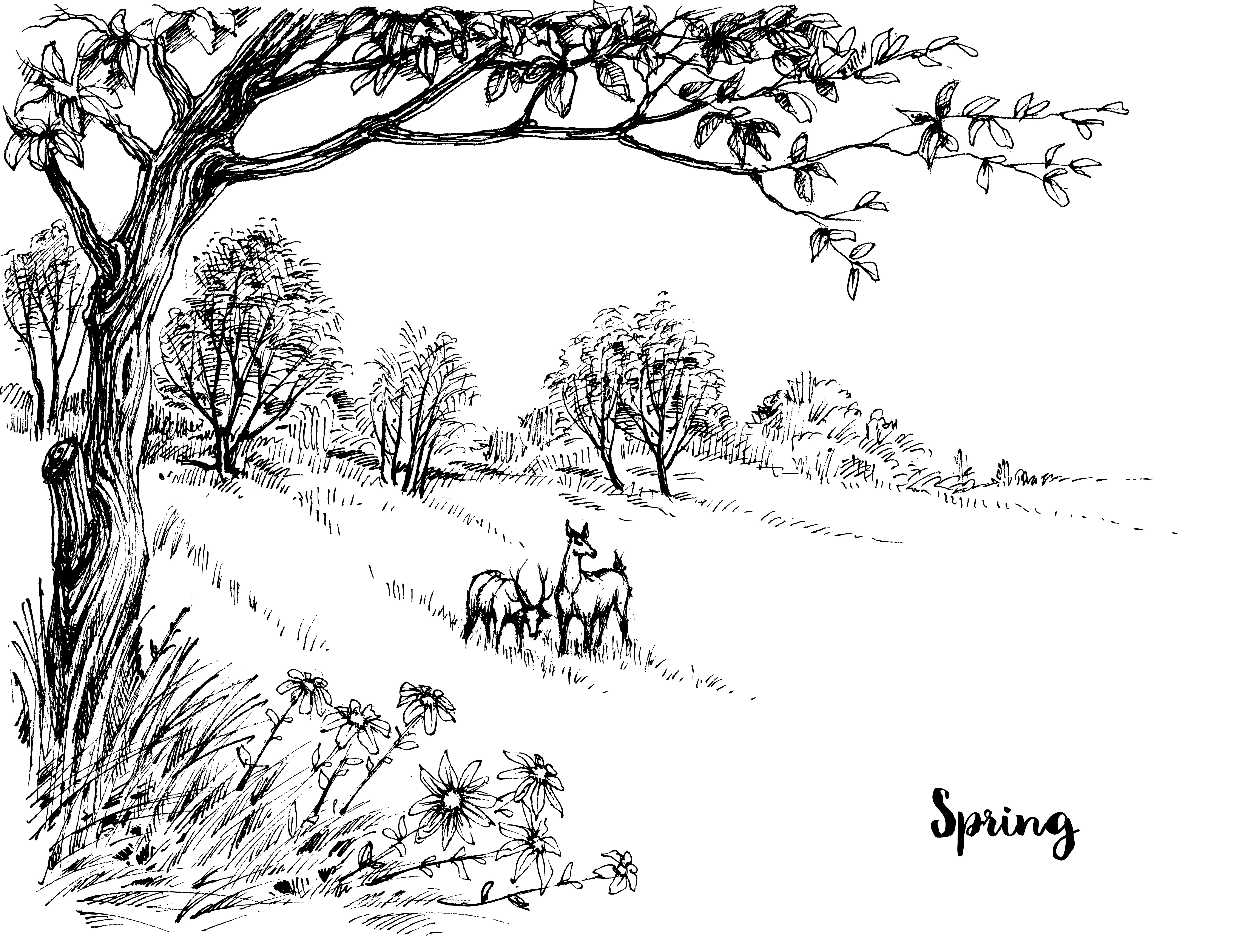 disegno-paesaggio-primaverile-da-colorare-2.jpg