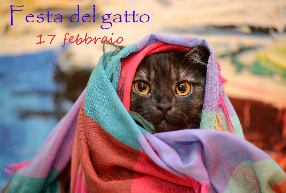festa-gatto-immagini-7.jpg