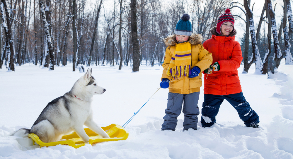 5 attività originali da praticare in montagna in inverno