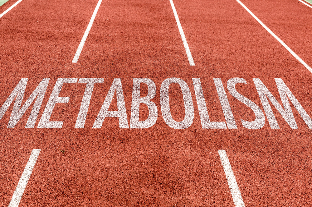 Metabolismo basale e totale, quali sono le differenze