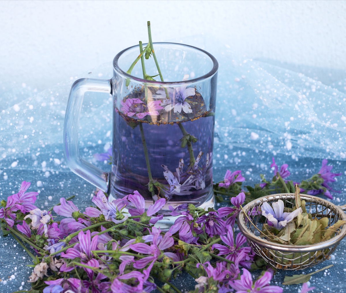 Tisana alla malva per mal di stomaco: il rimedio naturale che dà sollievo