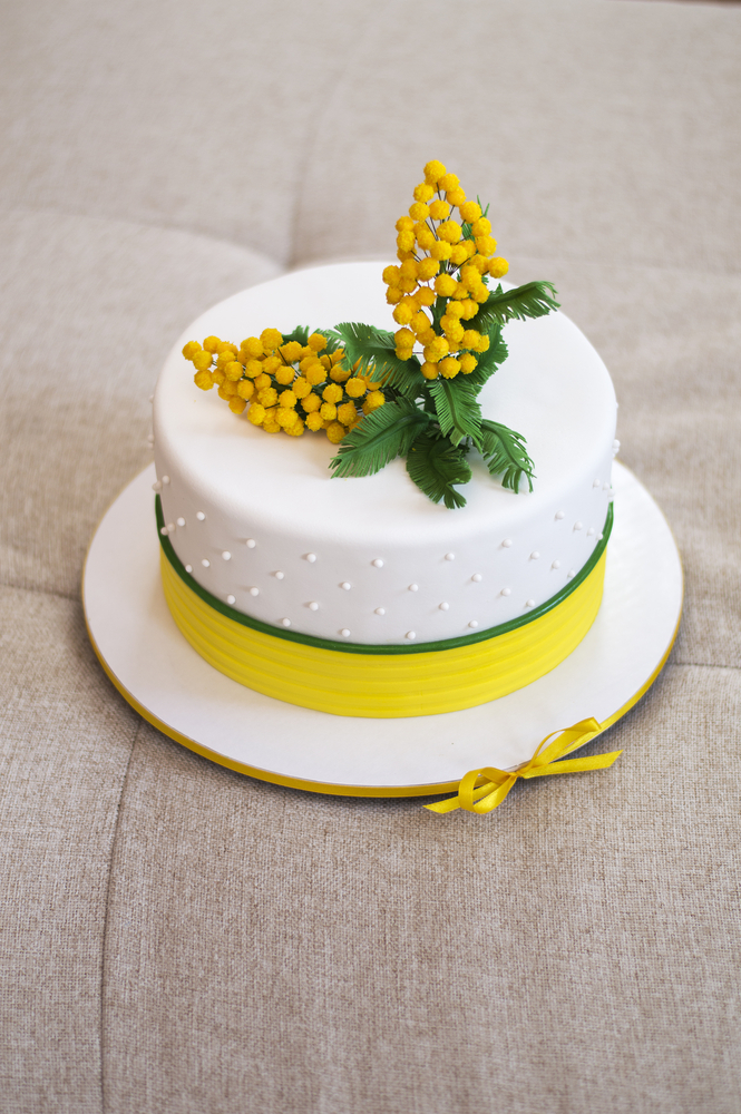 torte-festa-donne-decorazioni-3.jpg