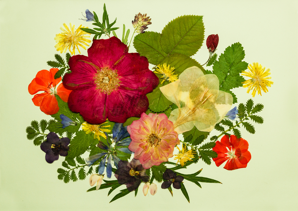 decoupage-fiori-secchi-1.jpg