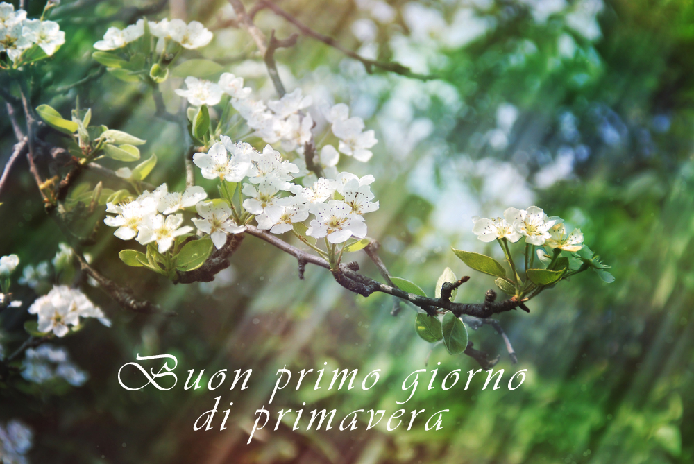 immagini-primo-giorno-primavera-1.jpg
