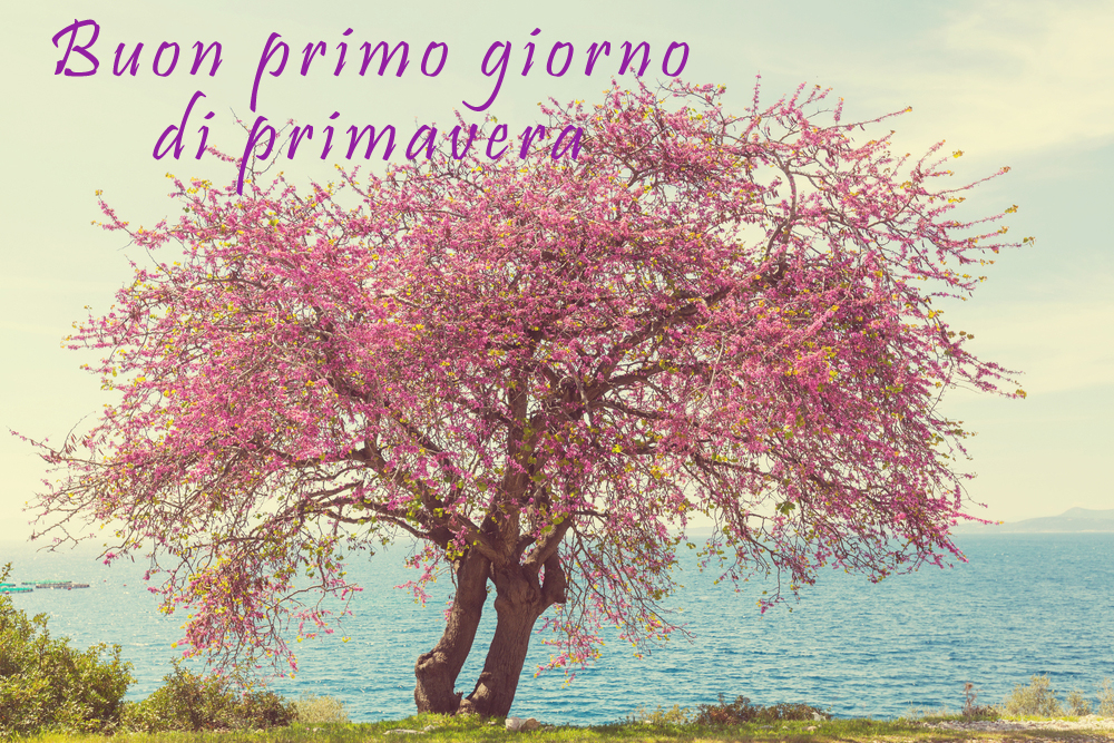 immagini-primo-giorno-primavera-2.jpg