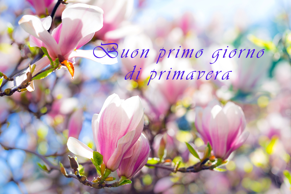 immagini-primo-giorno-primavera-5.jpg