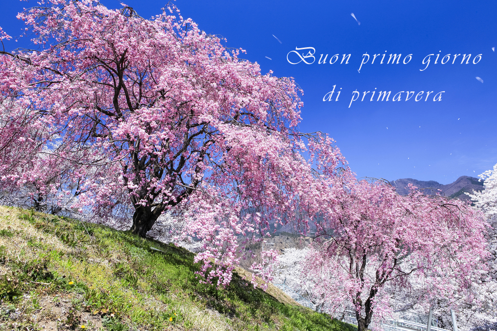 immagini-primo-giorno-primavera-6.jpg
