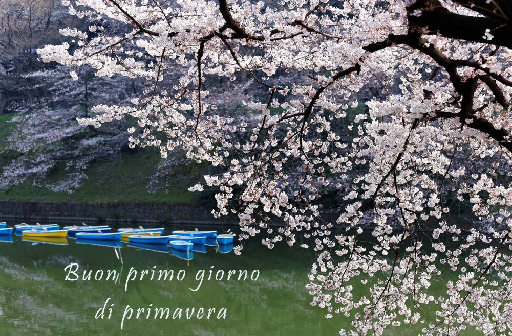 immagini-primo-giorno-primavera-8.jpg