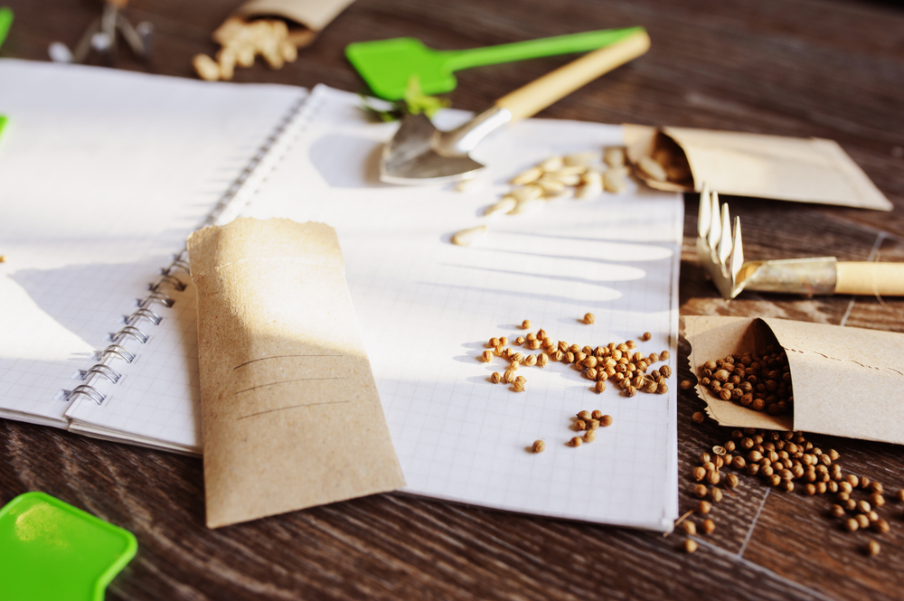 Quaderno giardinaggio fai da te: 9 cose da annotare e come decorare la copertina