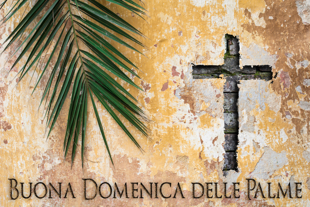 buona-domenica-palme-2.jpg