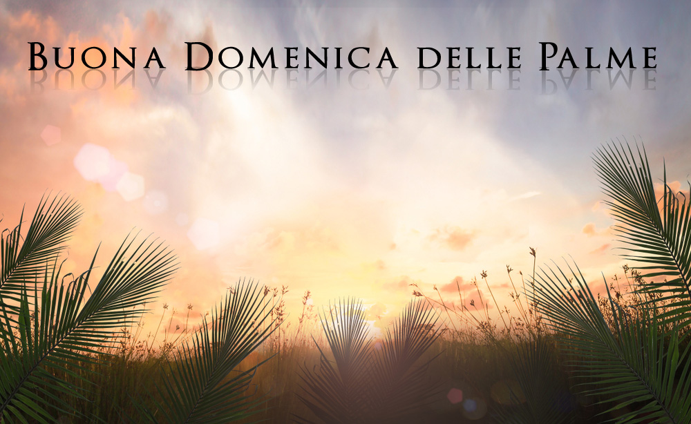 buona-domenica-palme-3.jpg