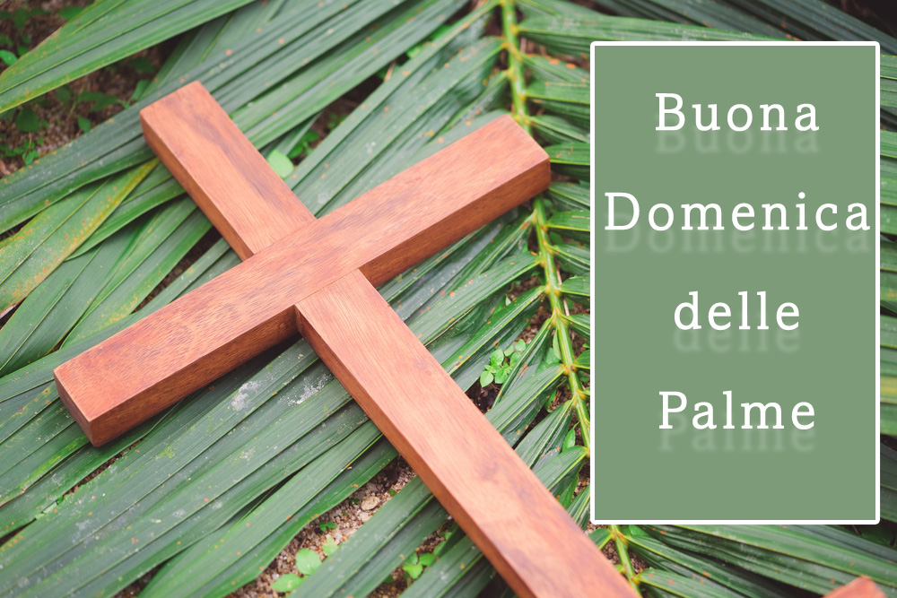 buona-domenica-palme-6.jpg