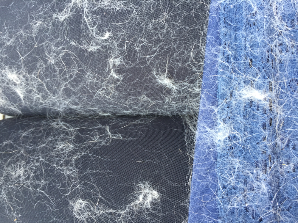 Come togliere i peli dai vestiti per vederli puliti e in ordine