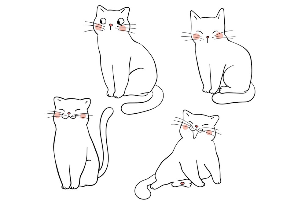 Come disegnare un gatto in semplici passaggi