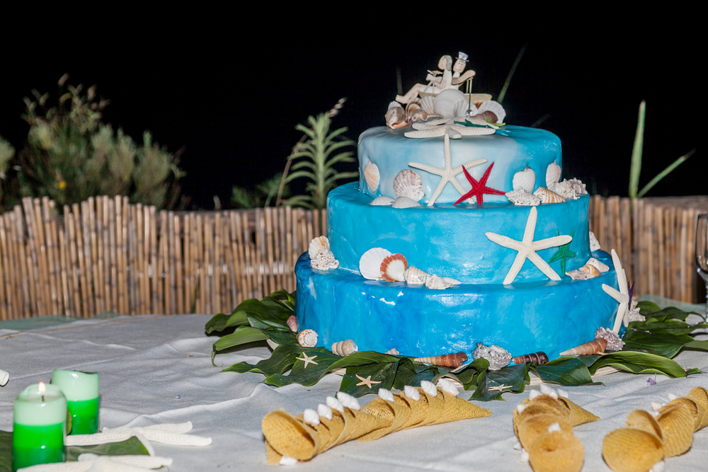 torte-matrimonio-tema-mare-9.jpg