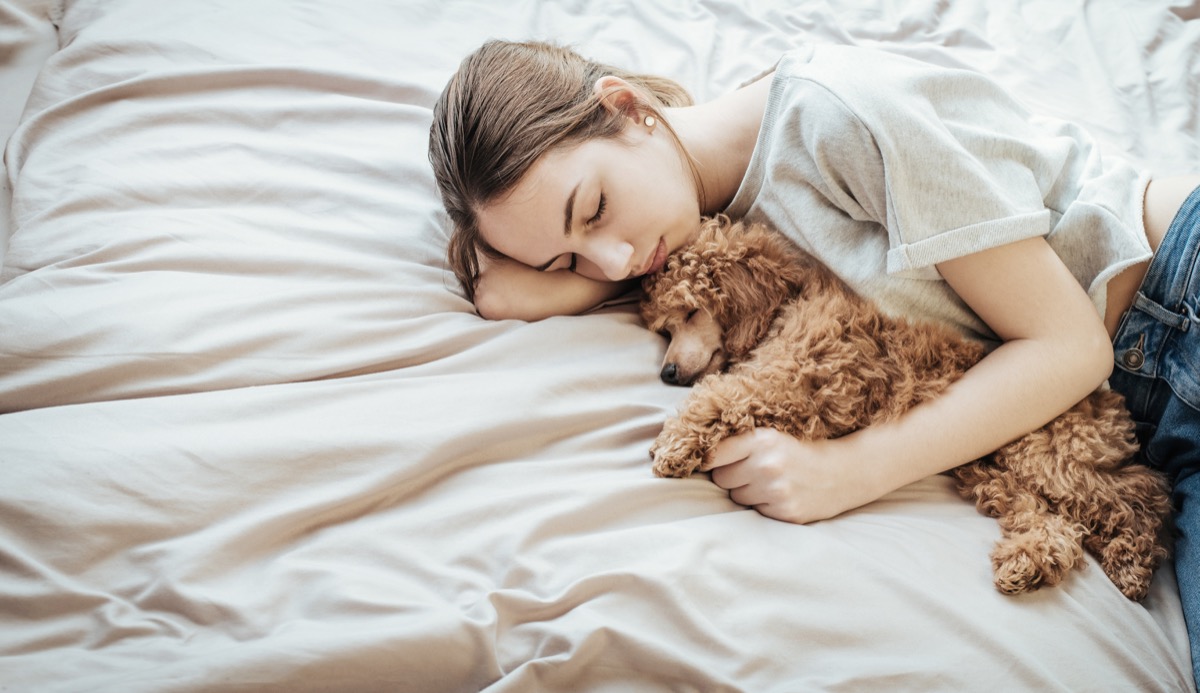 Cane che trema: le cause e quando chiamare il veterinario
