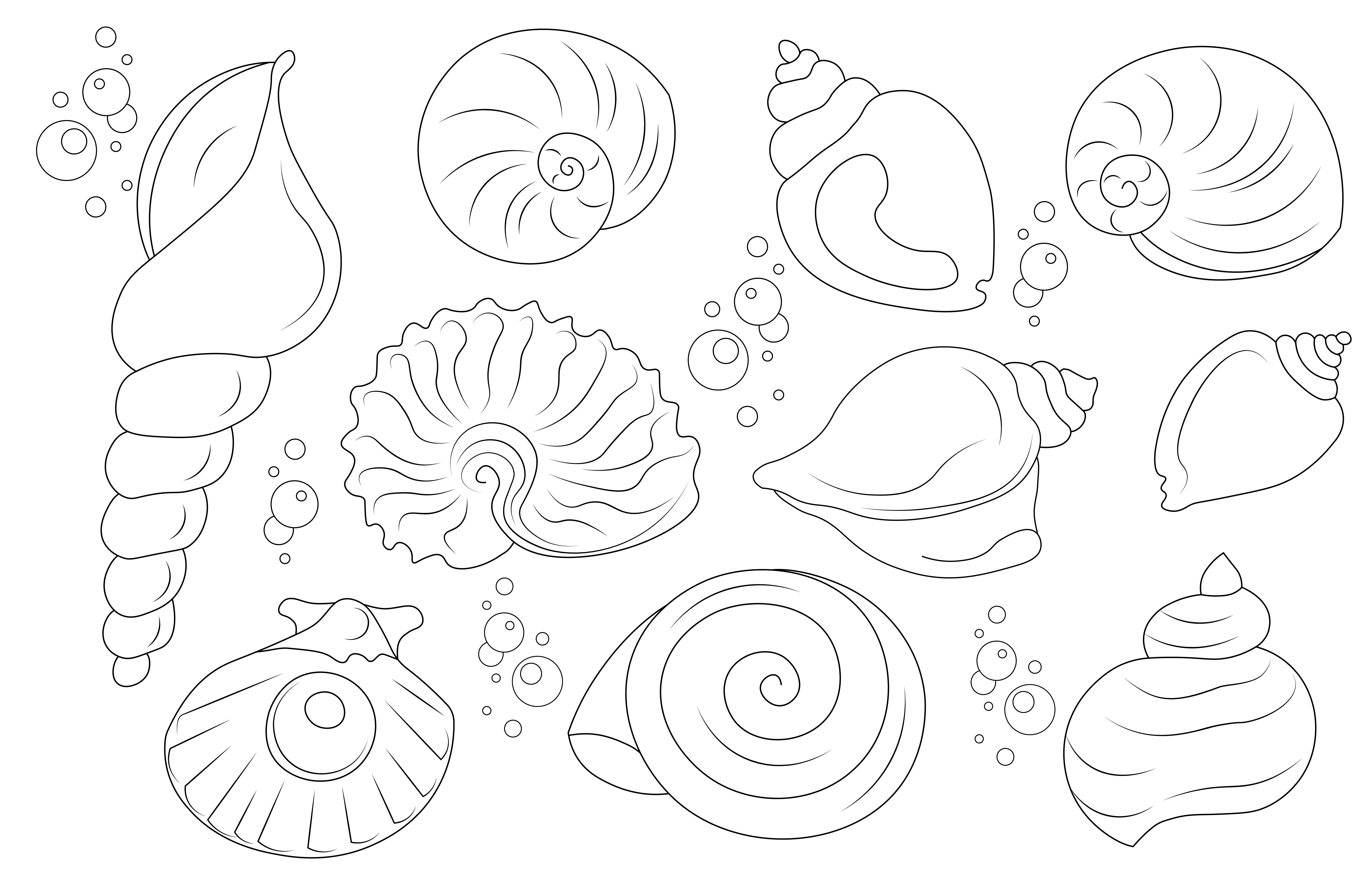 Disegni da ricamare a punto catenella a tema mare: 9 soggetti marini da scaricare gratis