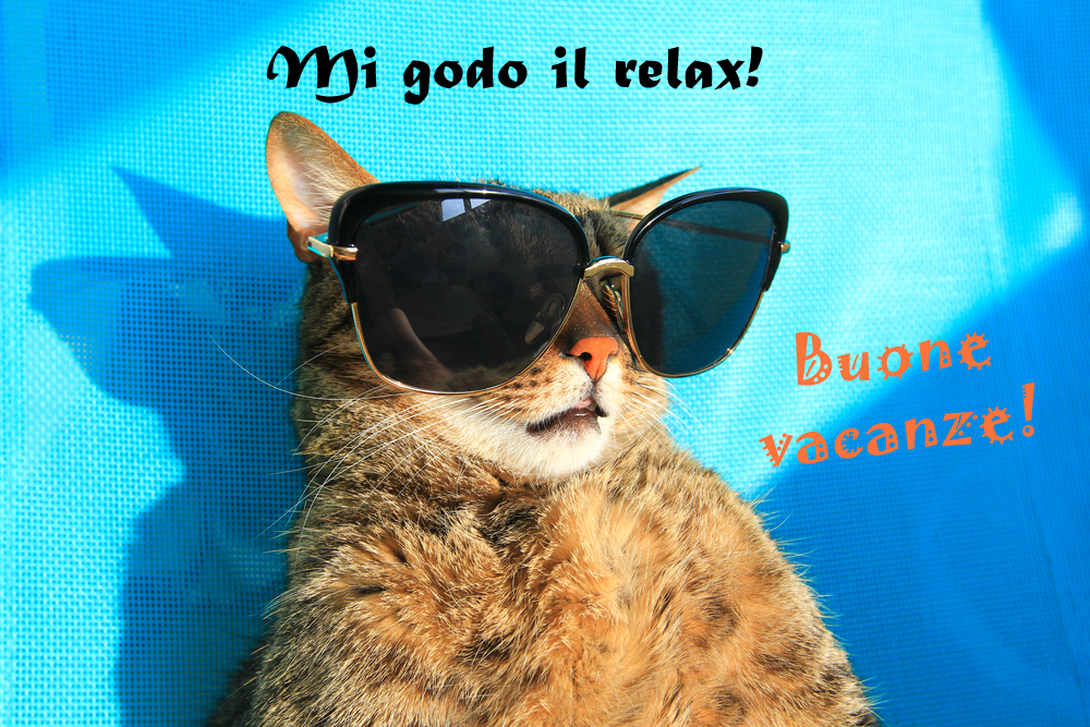 Immagini vacanze estive divertenti: le più belle da non perdere