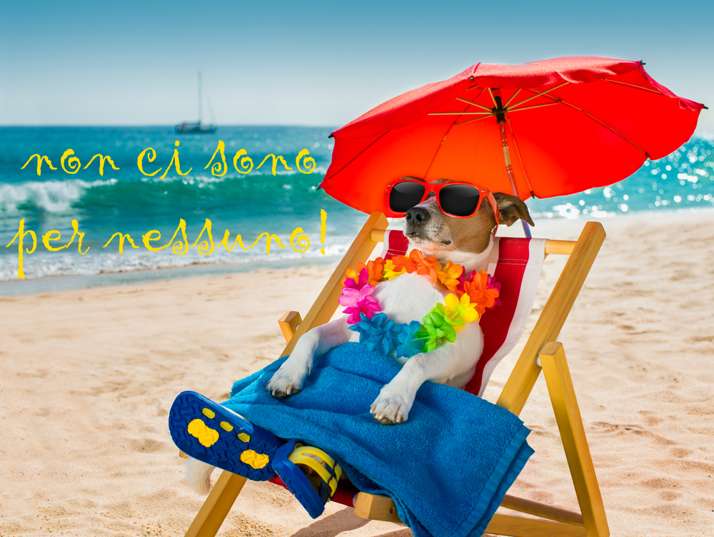 vacanze-estive-immagini-divertenti-2.jpg