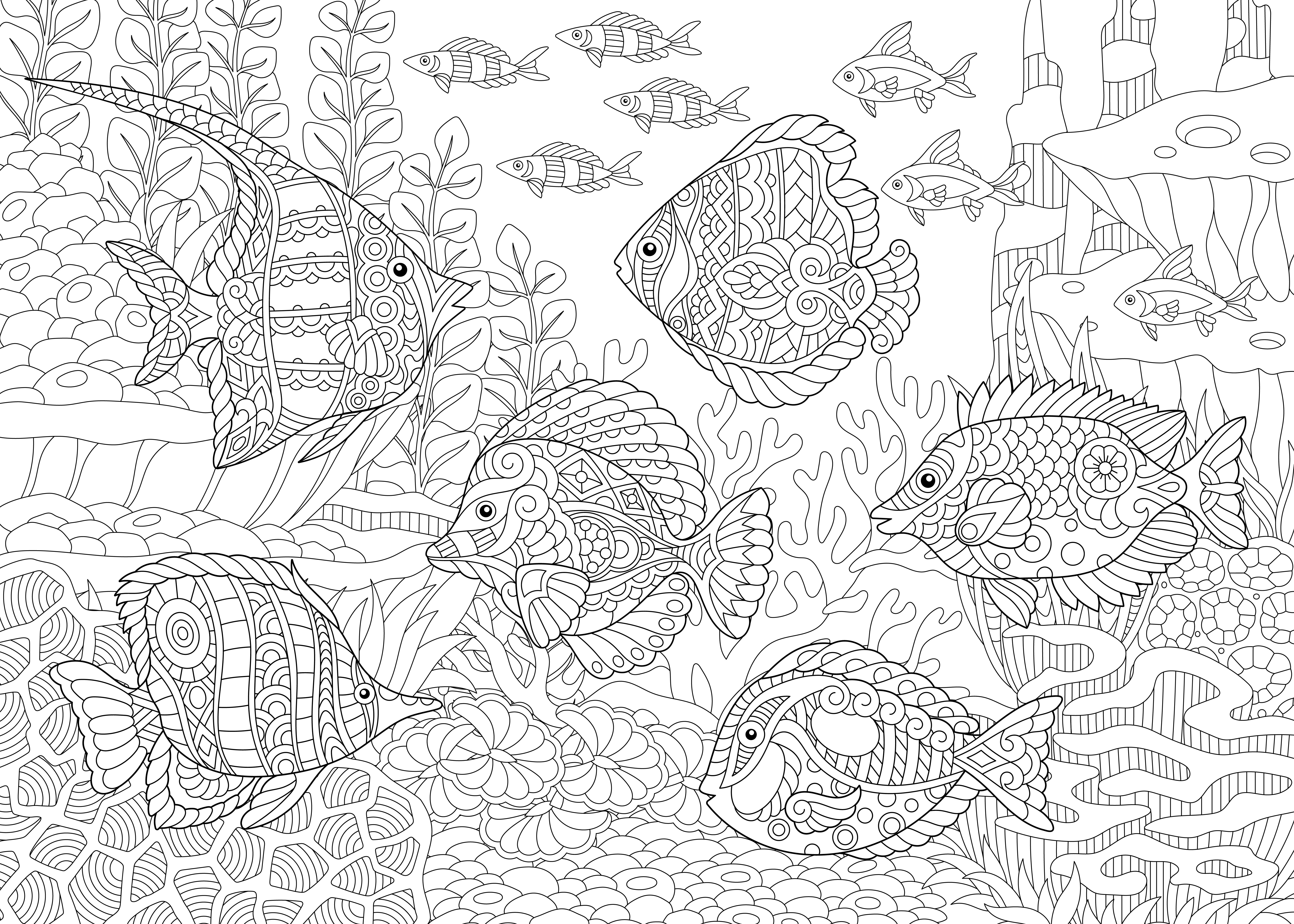 disegni-mare-da-colorare-2_0.jpg