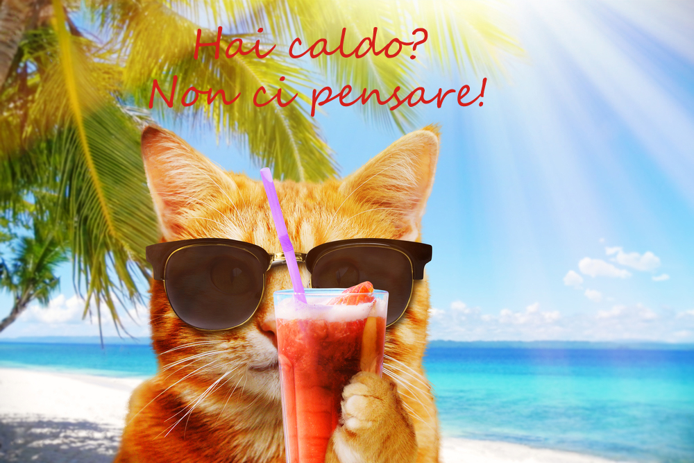 immagini-divertenti-caldo-estivo-1_0.jpg