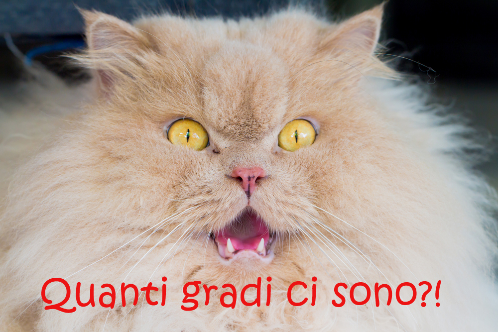 immagini-divertenti-caldo-estivo-7.jpg