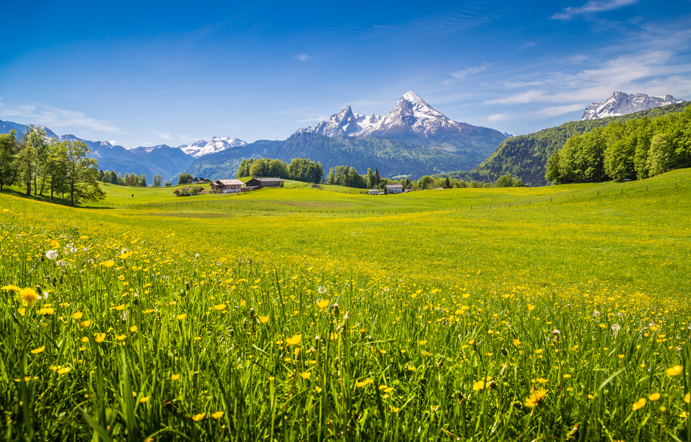 montagna-estate-alpi.jpg