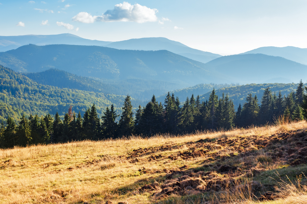 montagna-estate-apuseni-romania.jpg