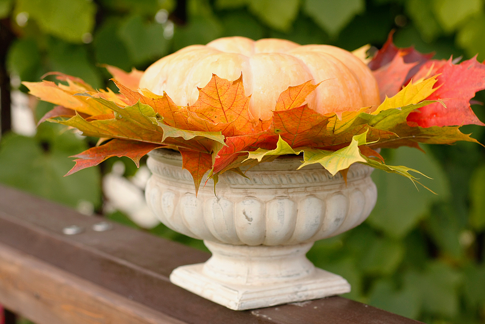 composizione-autunnale-5.jpg