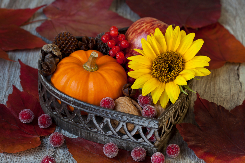 composizione-autunnale-8.jpg