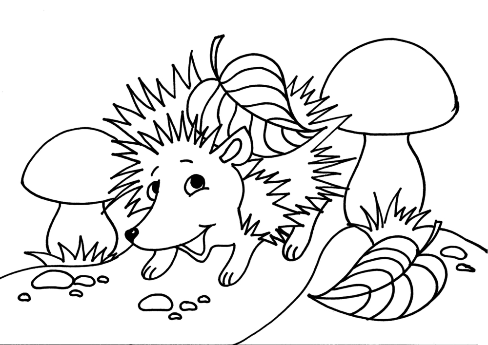Disegni autunno da colorare: 15 immagini gratis che vorrai scaricare