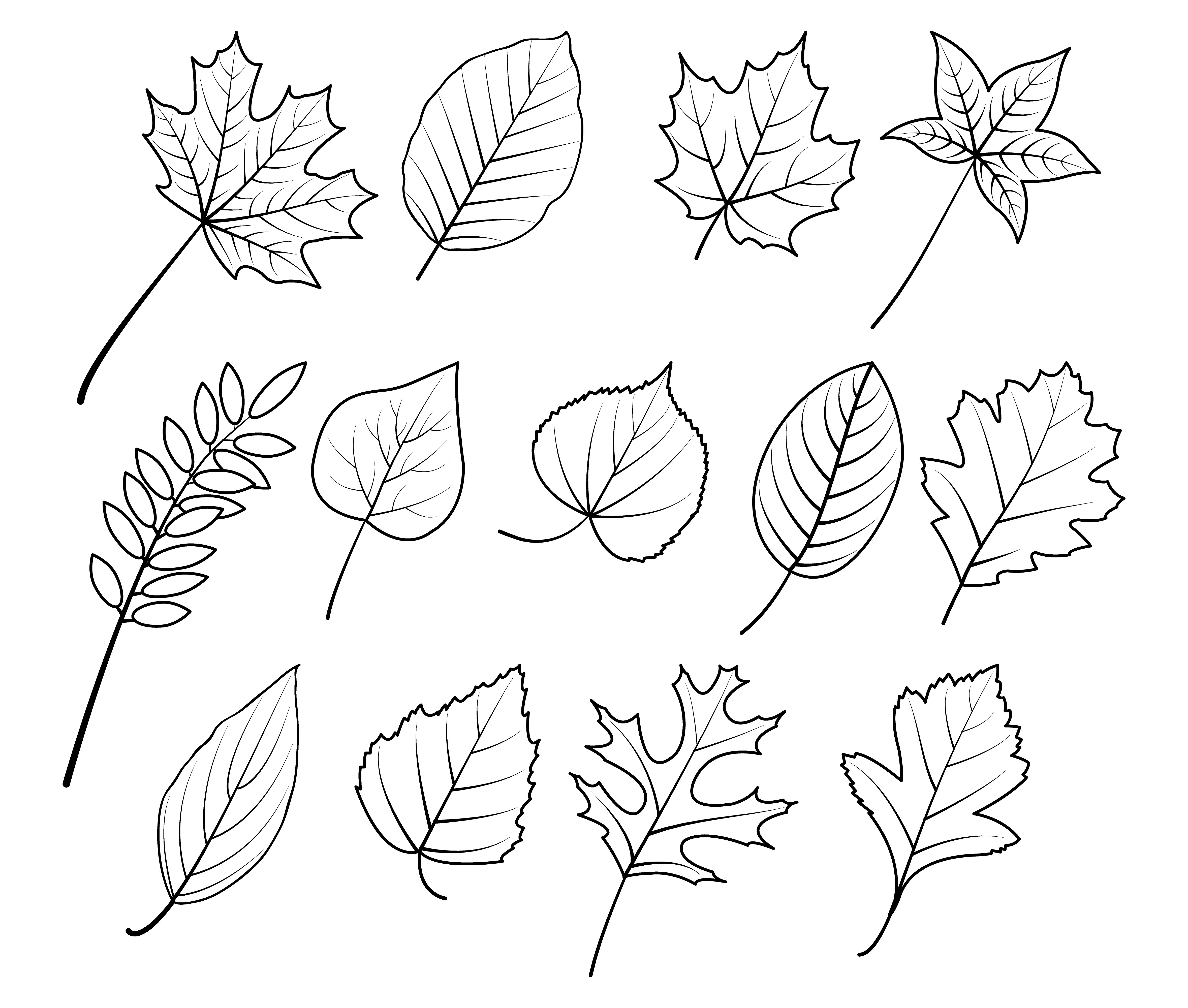 disegni-autunno-da-colorare-10.jpg