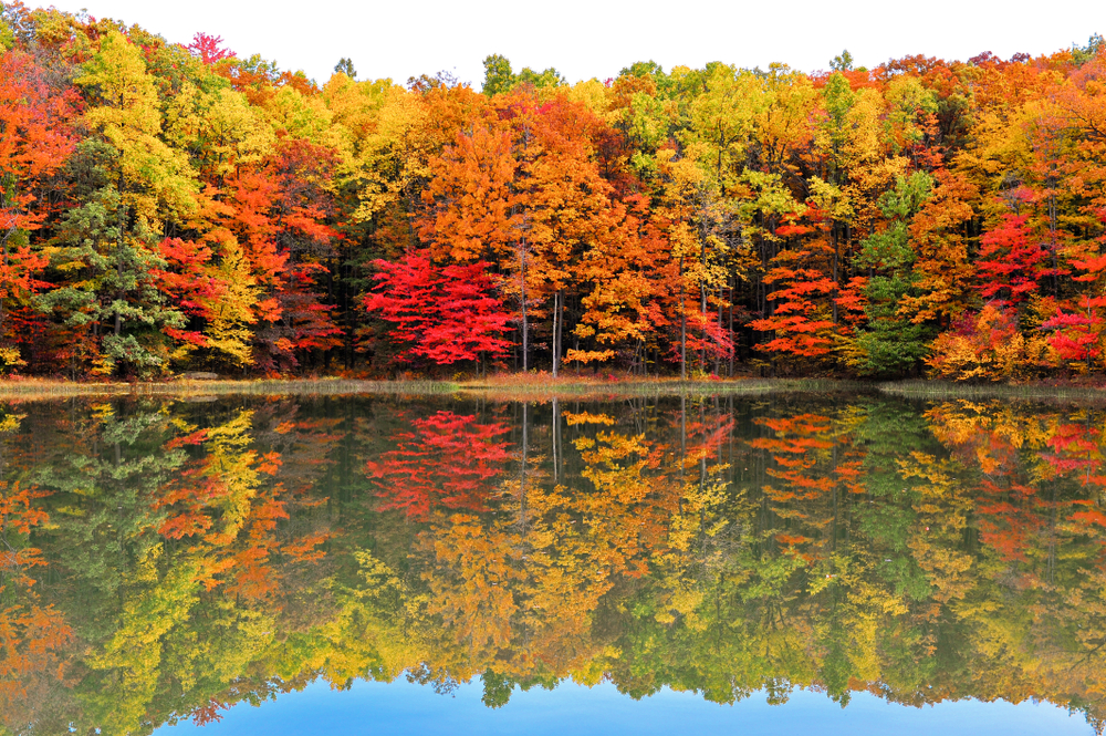 sfondi-autunno-desktop-1.jpg