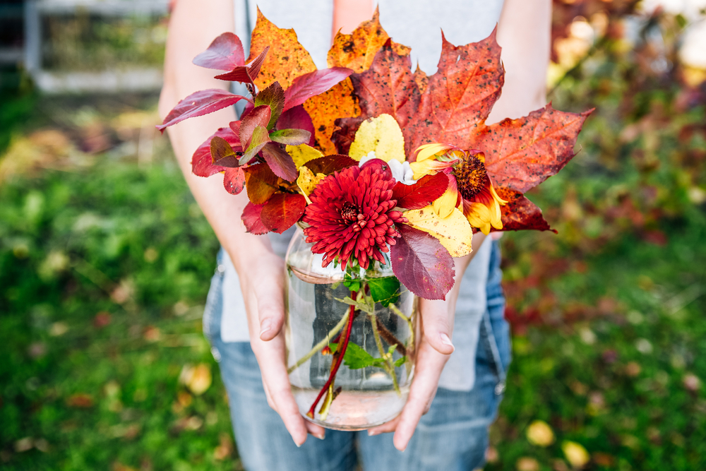 sfondi-autunno-desktop-10.jpg