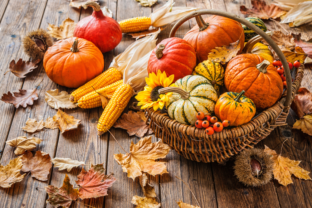 sfondi-autunno-desktop-12.jpg