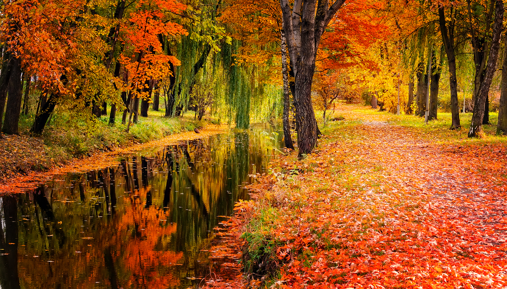 sfondi-autunno-desktop-14.jpg