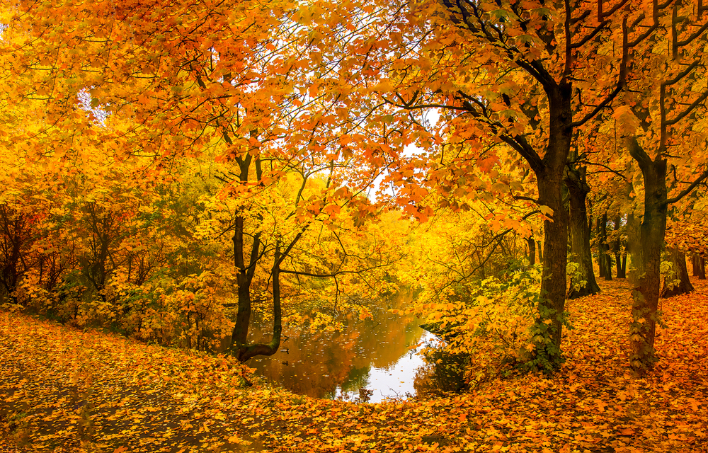 sfondi-autunno-desktop-16.jpg