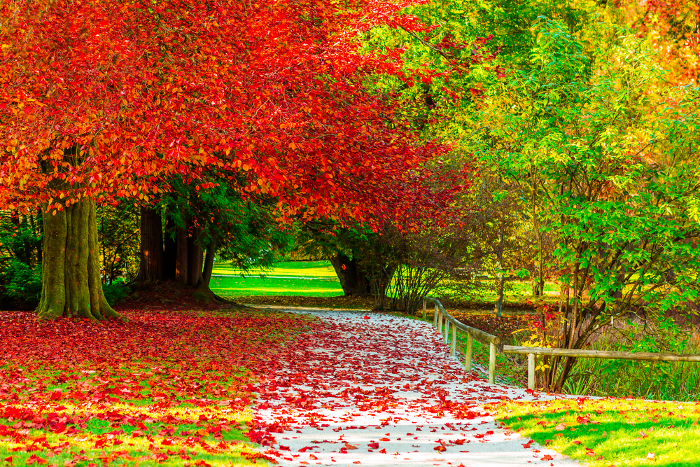 sfondi-autunno-desktop-18.jpg