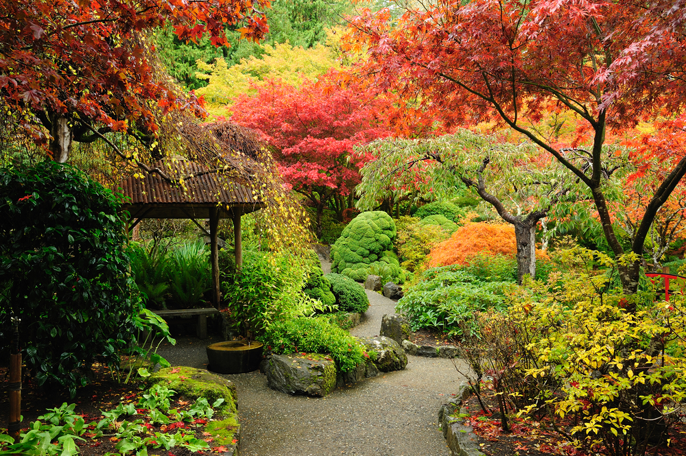 sfondi-autunno-desktop-2.jpg