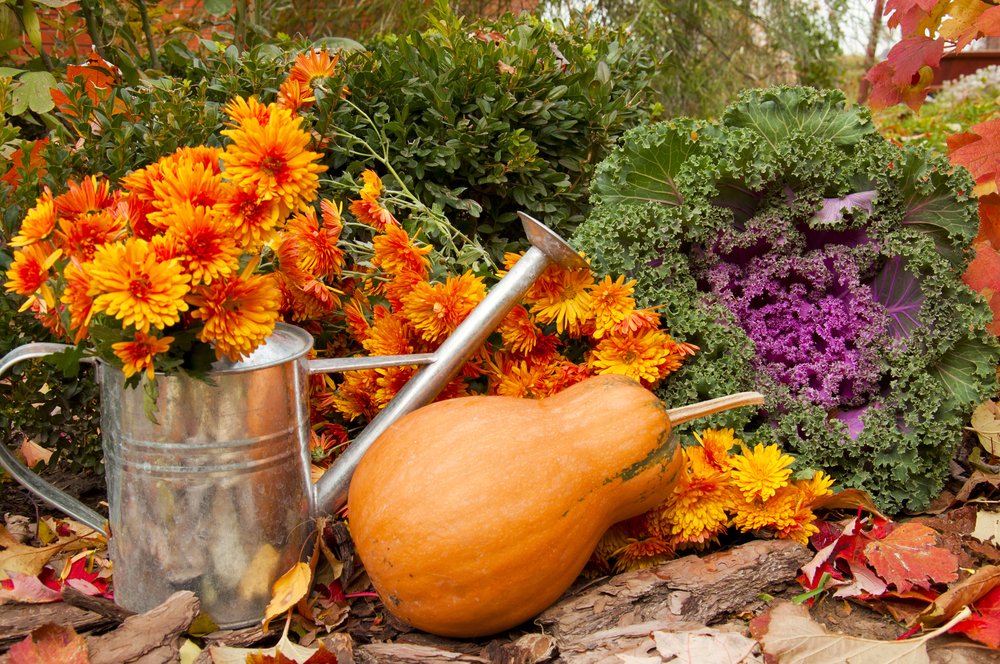 sfondi-autunno-desktop-3.jpg