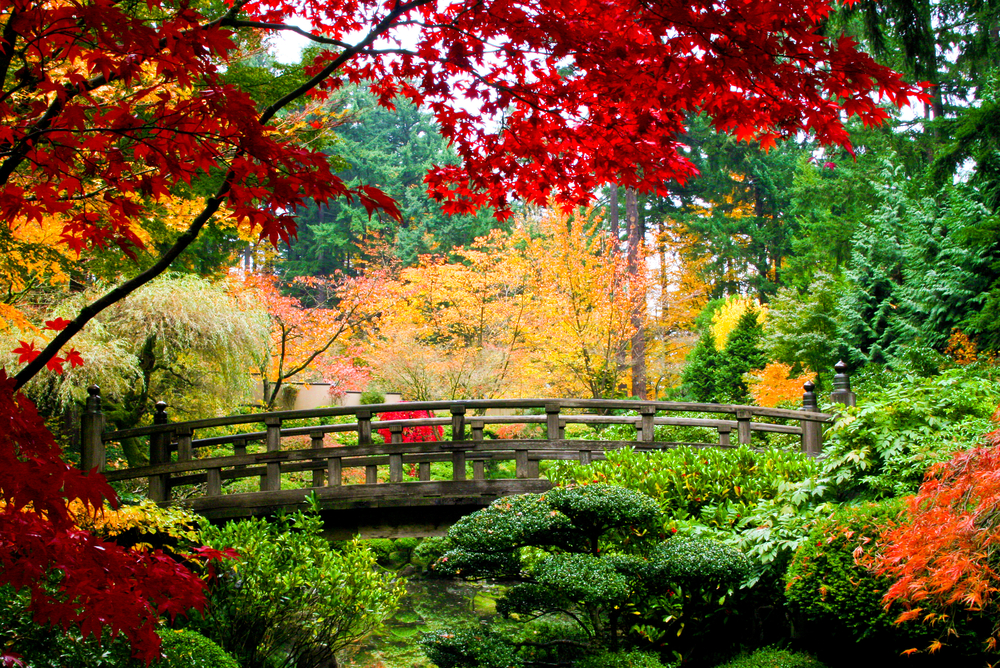 sfondi-autunno-desktop-5_0.jpg