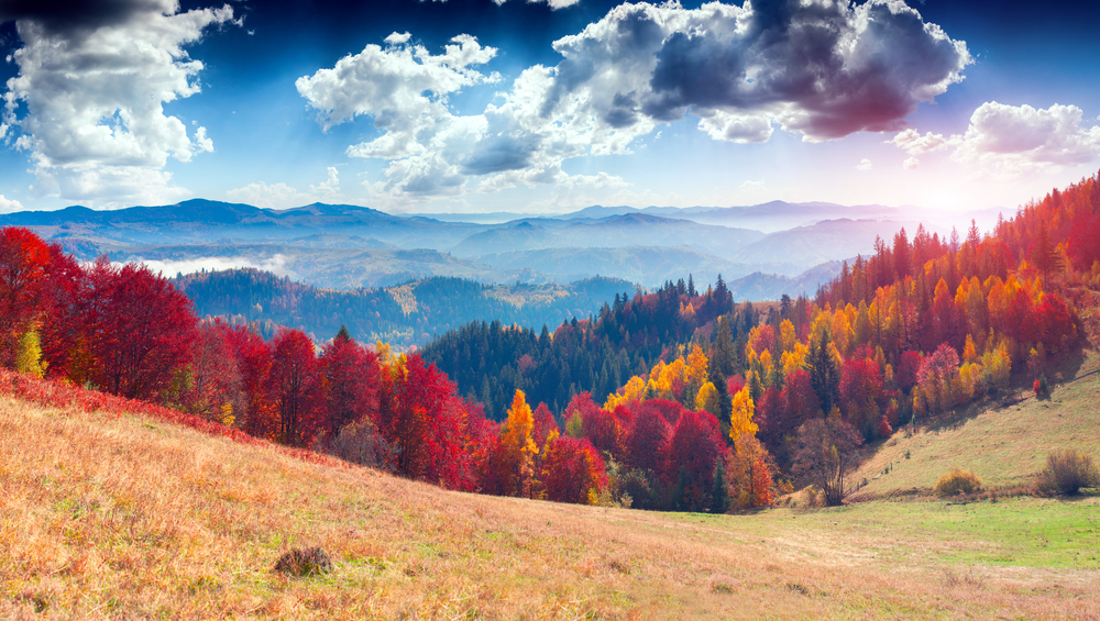 sfondi-autunno-desktop-8.jpg