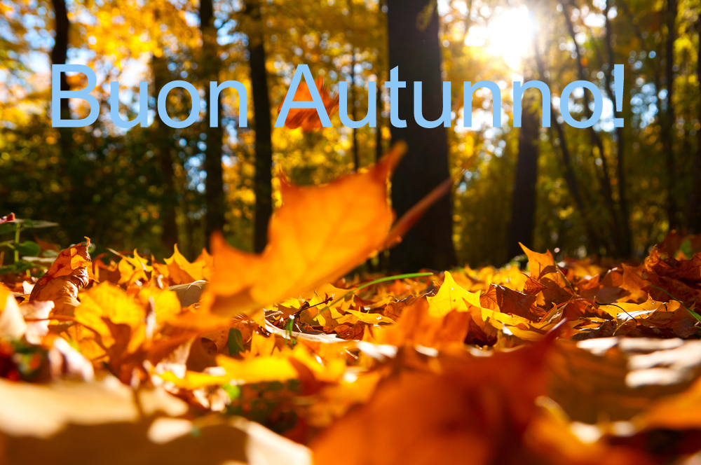 buon-autunno-immagini-1.jpg