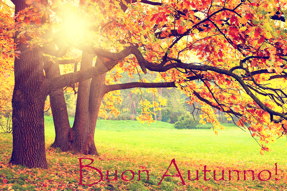 Buon autunno: 9 immagini per dare il benvenuto alla nuova stagione