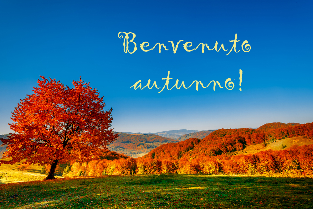 buon-autunno-immagini-4.jpg