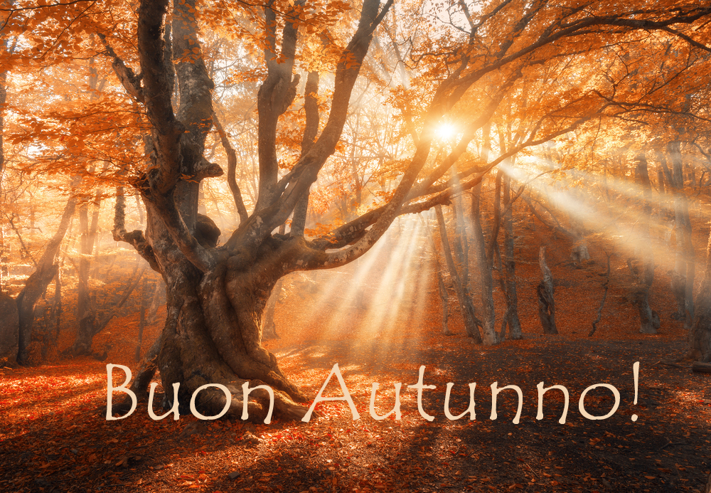 buon-autunno-immagini-7.jpg