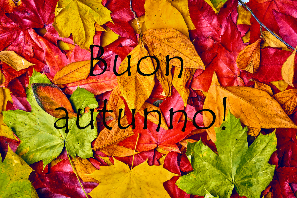 buon-autunno-immagini-8.jpg